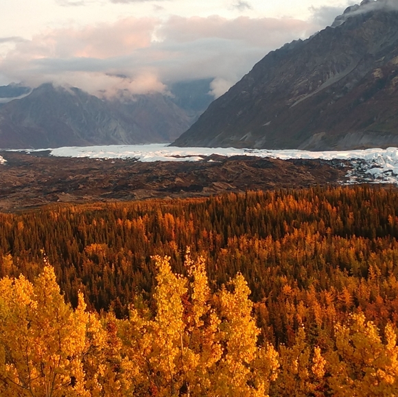 Meet your Posher, Karen - Picture 7 of 8